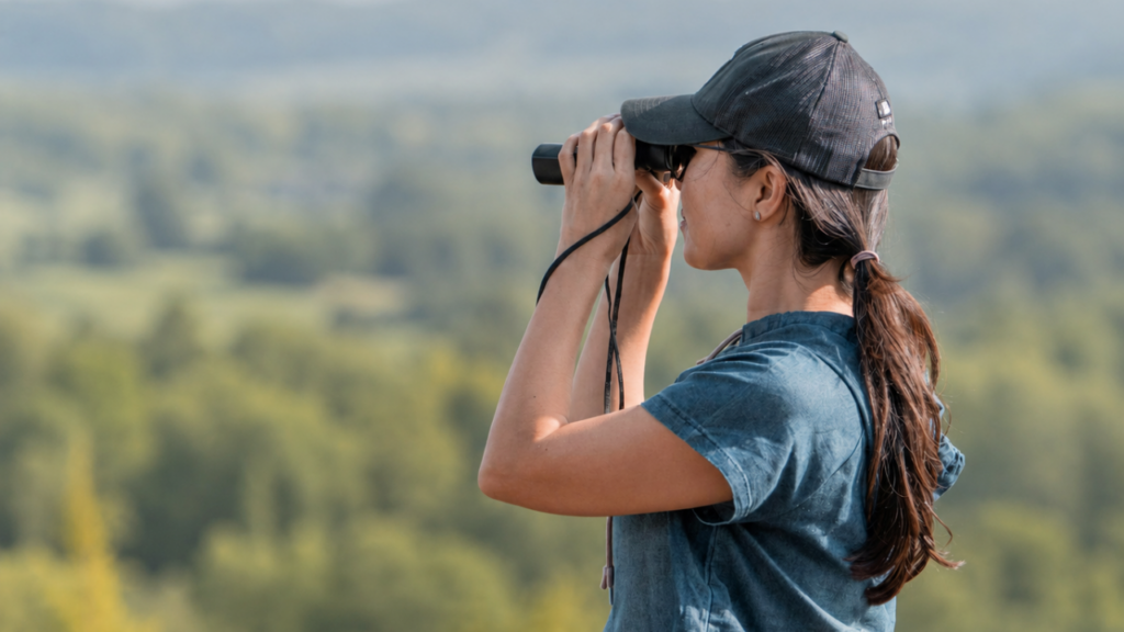 Veille tourisme ardenne - innovation, ressources et bonnes pratiques